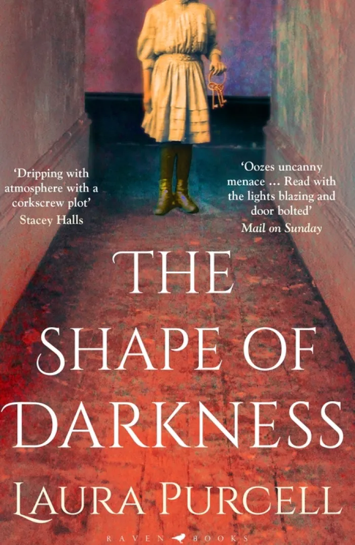The Shape of Darkness: 'A future gothic classic' Martyn Waites