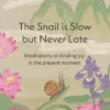 The Snail is Slow but Never Late: Meditations on Finding Joy in the Present Moment
