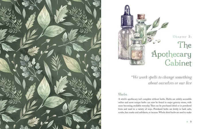 The Witch's Apothecary: Seasons of the Witch: Learn how to make magical potions around the wheel of the year to improve your physical and spiritual well-being.
