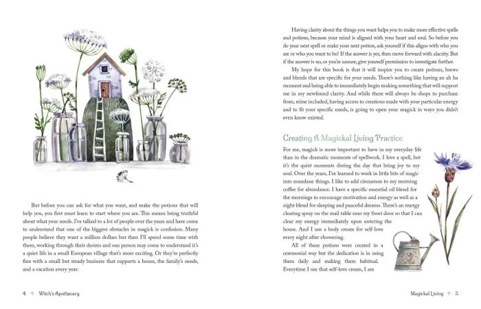 The Witch's Apothecary: Seasons of the Witch: Learn how to make magical potions around the wheel of the year to improve your physical and spiritual well-being.