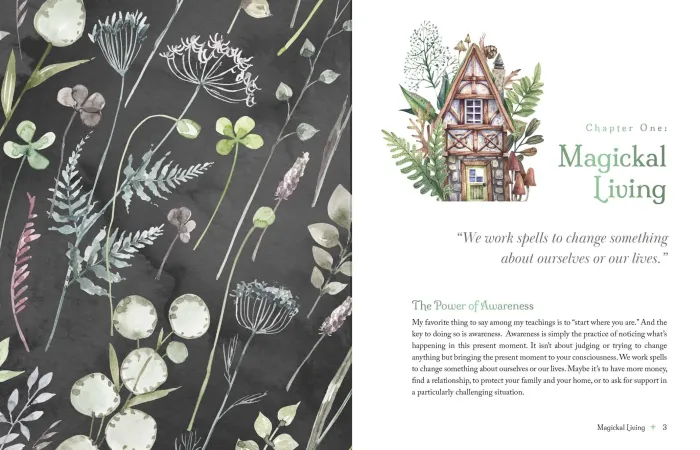 The Witch's Apothecary: Seasons of the Witch: Learn how to make magical potions around the wheel of the year to improve your physical and spiritual well-being.