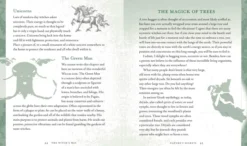 The Witch's Way: A Guide to Modern-Day Spellcraft, Nature Magick, and Divination