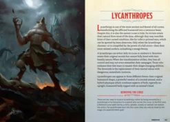 The Young Adventurer's Collection Box Set 2 (Dungeons & Dragons 4-Book Boxed Set): Beasts & Behemoths, Dragons & Treasures, Places & Portals, Artificers & Alchemy