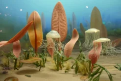 The Zoologist's Guide to the Galaxy: What Animals on Earth Reveal about Aliens - and Ourselves