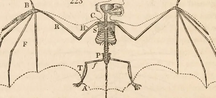 The Zoologist's Guide to the Galaxy: What Animals on Earth Reveal about Aliens - and Ourselves