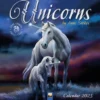 Unicorns by Anne Stokes Wall Calendar 2023 (Art Calendar)