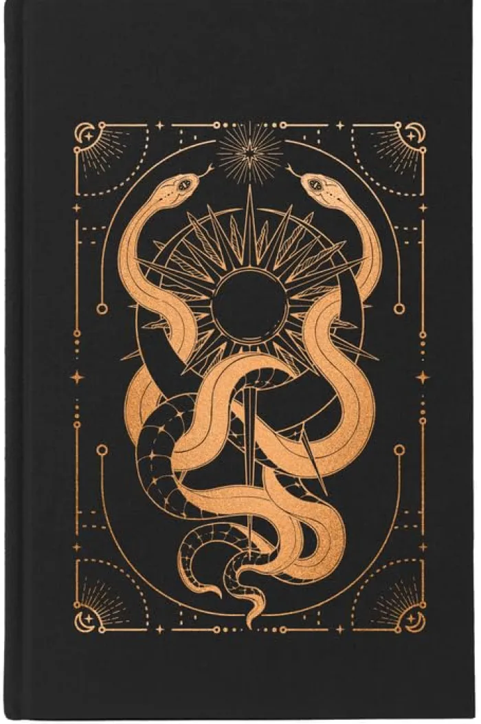 Verity Guild: An Enemies-To-Lovers Romantasy