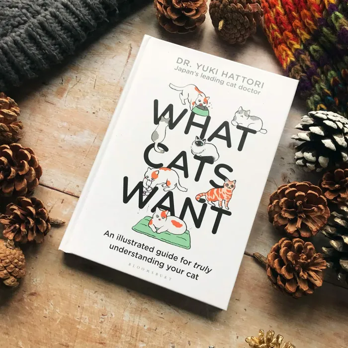 What Cats Want: An Illustrated Guide for Truly Understanding Your Cat