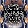 What Echoes in the Dark