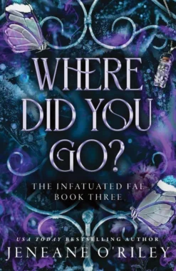 Where Did You Go?: The Thrilling Enemies to Lovers Romance Set in a Dark Fantasy World