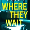 Where They Wait: The most compulsive and creepy psychological thriller of 2021