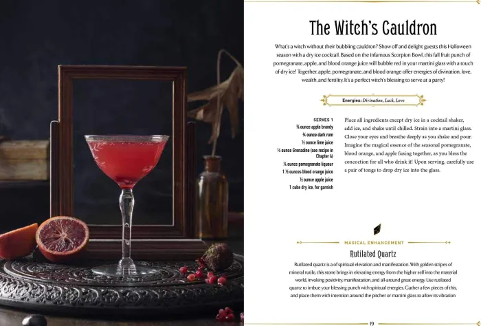 WitchCraft Cocktails: 70 Seasonal Drinks Infused with Magic & Ritual