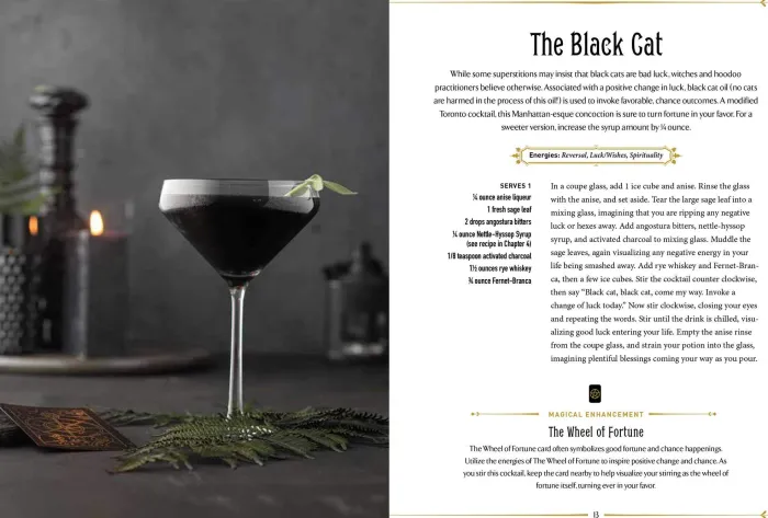 WitchCraft Cocktails: 70 Seasonal Drinks Infused with Magic & Ritual
