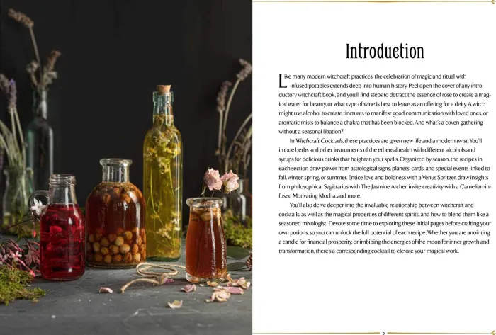WitchCraft Cocktails: 70 Seasonal Drinks Infused with Magic & Ritual