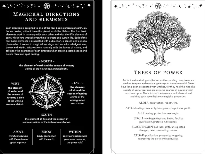 2025 Witch's Diary - Northern Hemisphere: Seasonal planner to reclaiming the magick of the old ways