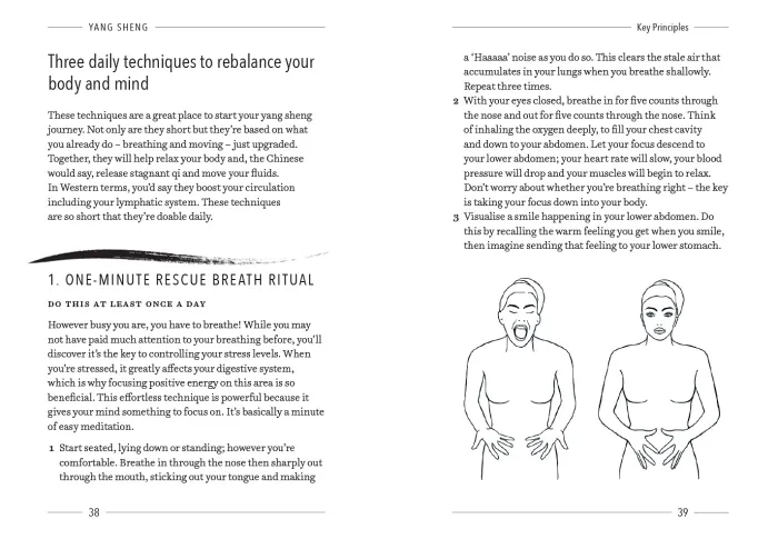Yang Sheng: The Art of Chinese Self-Healing