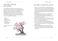 Yang Sheng: The Art of Chinese Self-Healing
